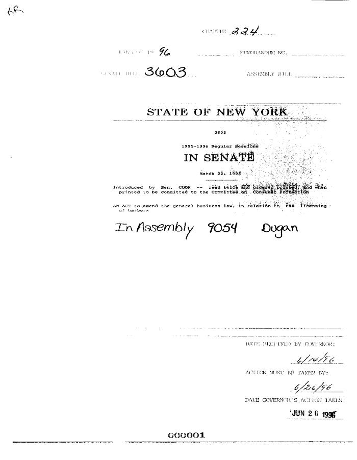 NYS Bill and Veto Jackets: 1996, Chapter 224