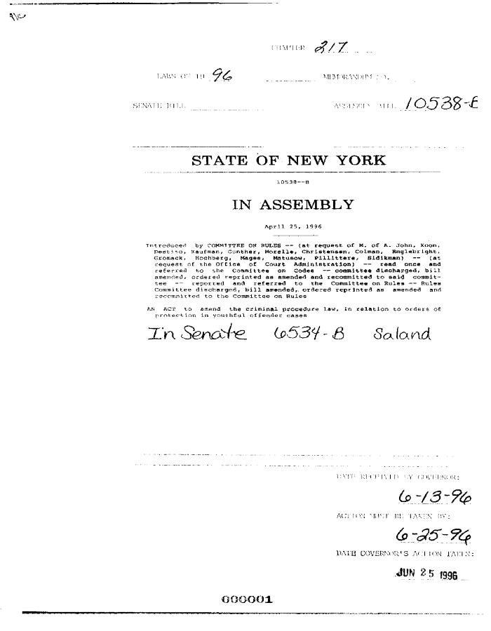 NYS Bill and Veto Jackets: 1996, Chapter 217