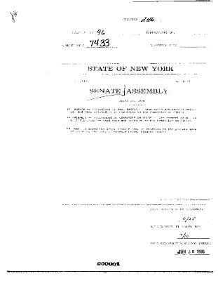 NYS Bill and Veto Jackets: 1996, Chapter 246