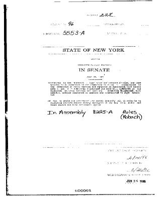 NYS Bill and Veto Jackets: 1996, Chapter 228