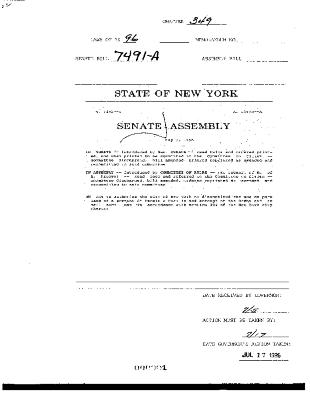 NYS Bill and Veto Jackets: 1996, Chapter 349