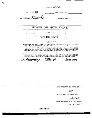 NYS Bill and Veto Jackets: 1996, Chapter 346