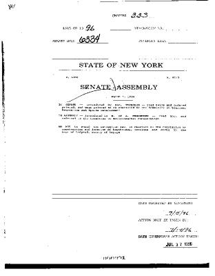 NYS Bill and Veto Jackets: 1996, Chapter 333