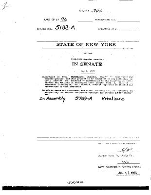 NYS Bill and Veto Jackets: 1996, Chapter 306
