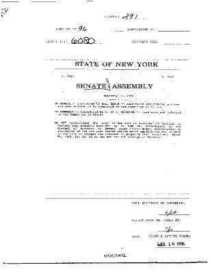 NYS Bill and Veto Jackets: 1996, Chapter 291