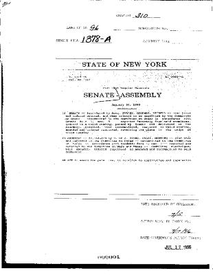 NYS Bill and Veto Jackets: 1996, Chapter 310