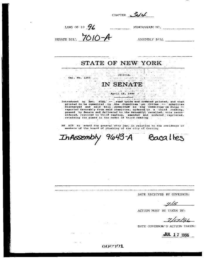 NYS Bill and Veto Jackets: 1996, Chapter 344