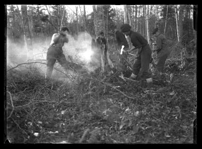 Forest Fire in the Adirondacks