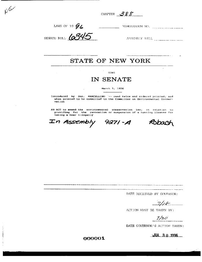 NYS Bill and Veto Jackets: 1996, Chapter 388