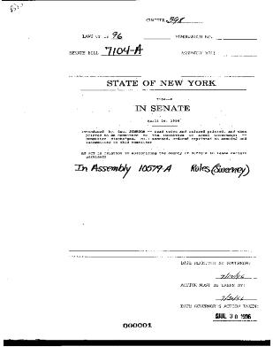 NYS Bill and Veto Jackets: 1996, Chapter 398