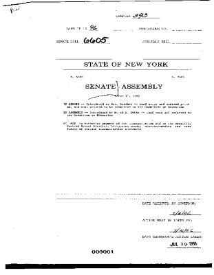 NYS Bill and Veto Jackets: 1996, Chapter 393