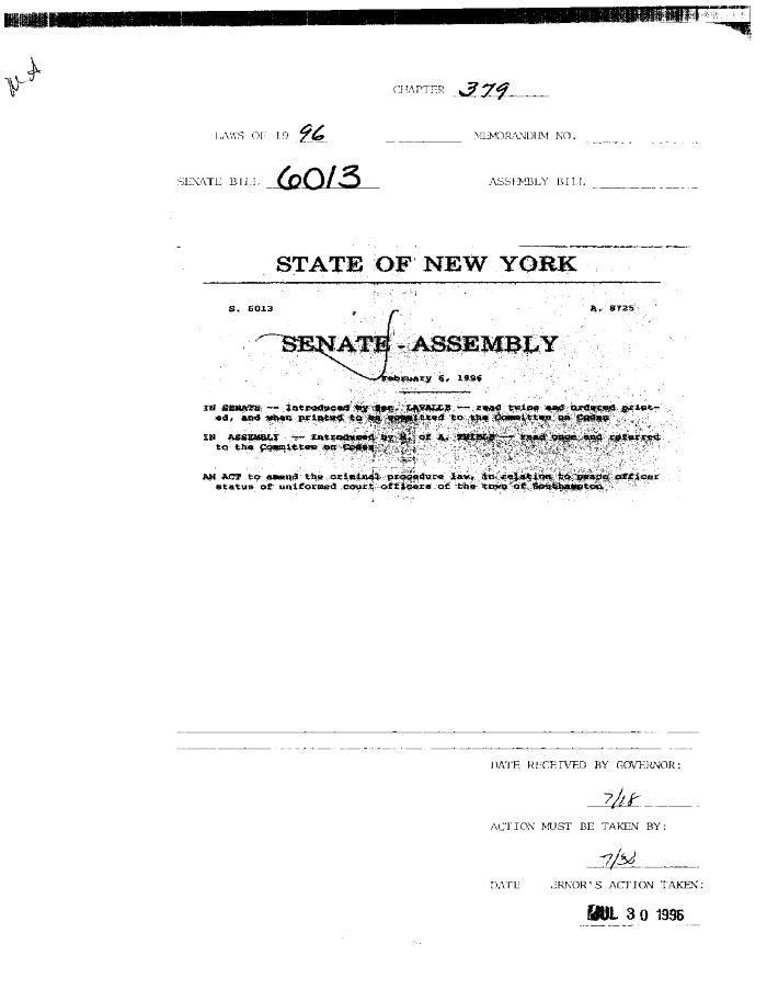 NYS Bill and Veto Jackets: 1996, Chapter 379