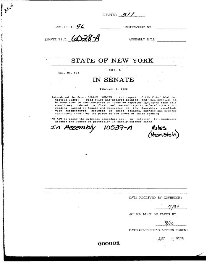 NYS Bill and Veto Jackets: 1996, Chapter 511