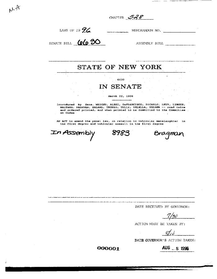 NYS Bill and Veto Jackets: 1996, Chapter 528