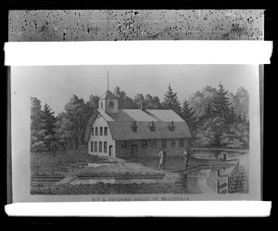 NYS hatching house at Caledonia (copy of print)