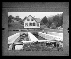 Hatchery and Ponds