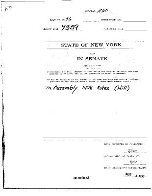 NYS Bill and Veto Jackets: 1996, Chapter 560