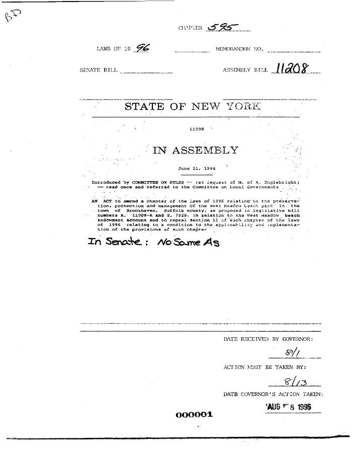 NYS Bill and Veto Jackets: 1996, Chapter 595