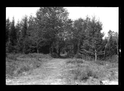 Completed Trail near Cross Clearing, Cross Clearing, Camp, CCC Labor