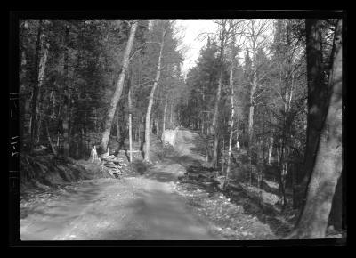 A Truck Trail in the Adirondacks