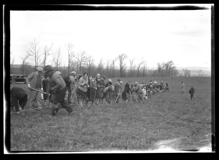 Altamont High School Pupils Planting Trees