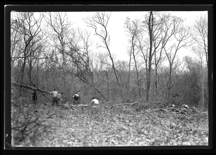 Gray Goose Gun Club Area, East Hampton, L.I., Men Working on Fire Hazard Reduction