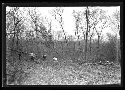 Gray Goose Gun Club Area, East Hampton, L.I., Men Working on Fire Hazard Reduction