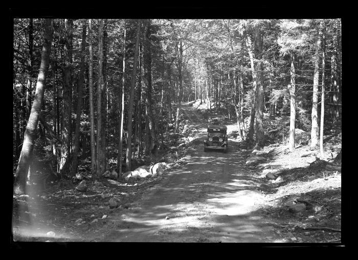 Finished Truck Trail, Newcomb Forest, Newcomb Camp, CCC Labor