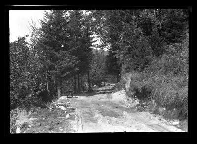 Finished Truck Trail to Cold River, Cross Clearing Camp, CCC Labor