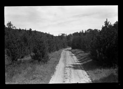 Completed Truck Trail Axton Plantation, Cross Clearing Camp, CCC Labor