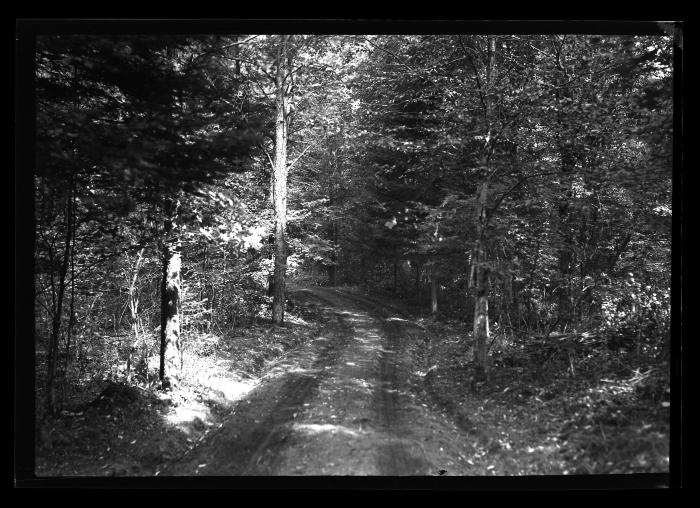 New Truck Trail near Cross Clearing