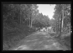 Finished truck trail Syracuse Universtiy forest, Wanakena camp, CCC labor