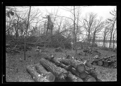 Stock Farm, North Haven, Long Island, Blow Down Area