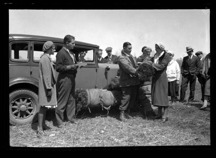 4-H Club Boys and Girls Receiving Trees for Planting, East Schodack, N.Y.