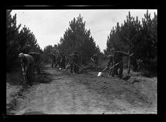 Finished New Truck Trail through Axton Plantation Cross Clearing Camp