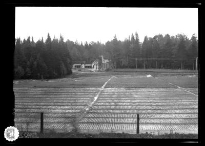 Nursery at Saranac Inn Station