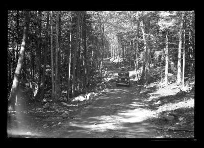 Finished Truck Trail, Newcomb Forest, Newcomb Camp, CCC Labor