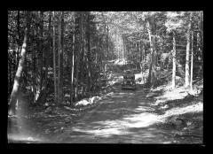 Finished Truck Trail, Newcomb Forest, Newcomb Camp, CCC Labor