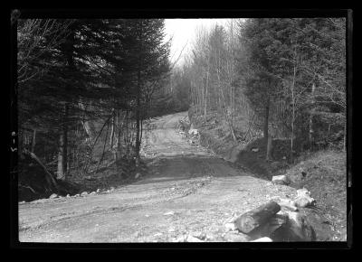 Truck trail in the Adirondack Mountains