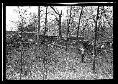 Fire Hazard Reduction.  Taylor Estate, North Haven, Long Island