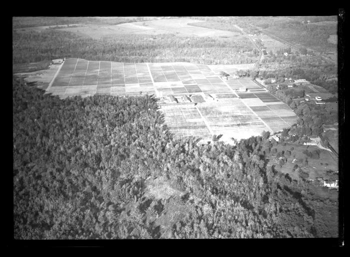 Saratoga Nursery, Aerial View