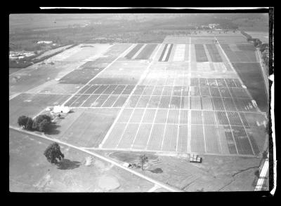 Saratoga Nursery, Aerial View