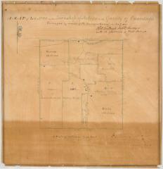 Map of Lot No. 20, in the Township of Fabius. Map #29	