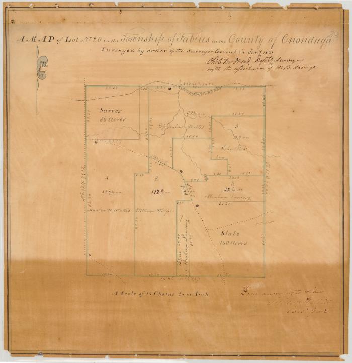 Map of Lot No. 20, in the Township of Fabius. Map #29	