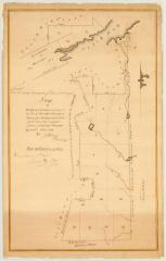 Map of unappropriated lands lying in the town of Fort Ann. Map #3