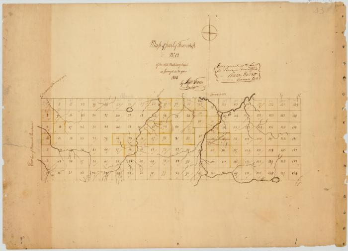 Map of part of Township No. 12 of the Old Military Tract. Map #43