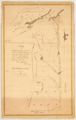 Map of unappropriated lands lying in the town of Fort Ann. Map #3