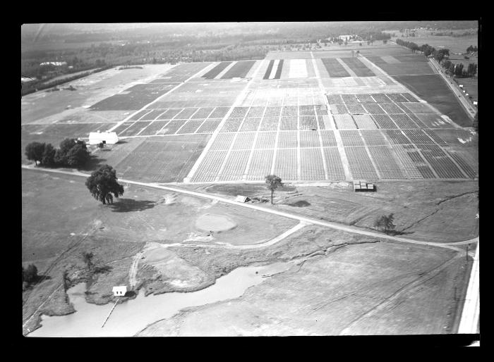 Saratoga Nursery, Aerial View