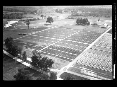 Saratoga Nursery, Aerial View