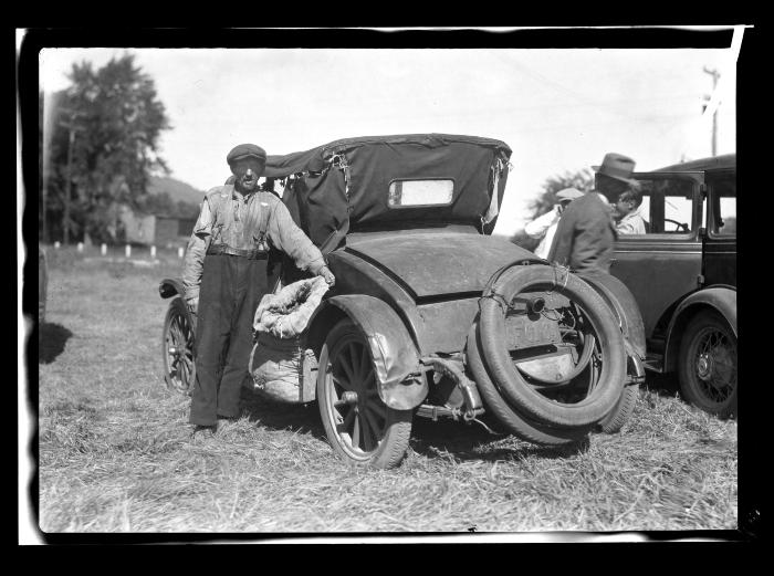 Gathering Cones for Seed at Willsboro